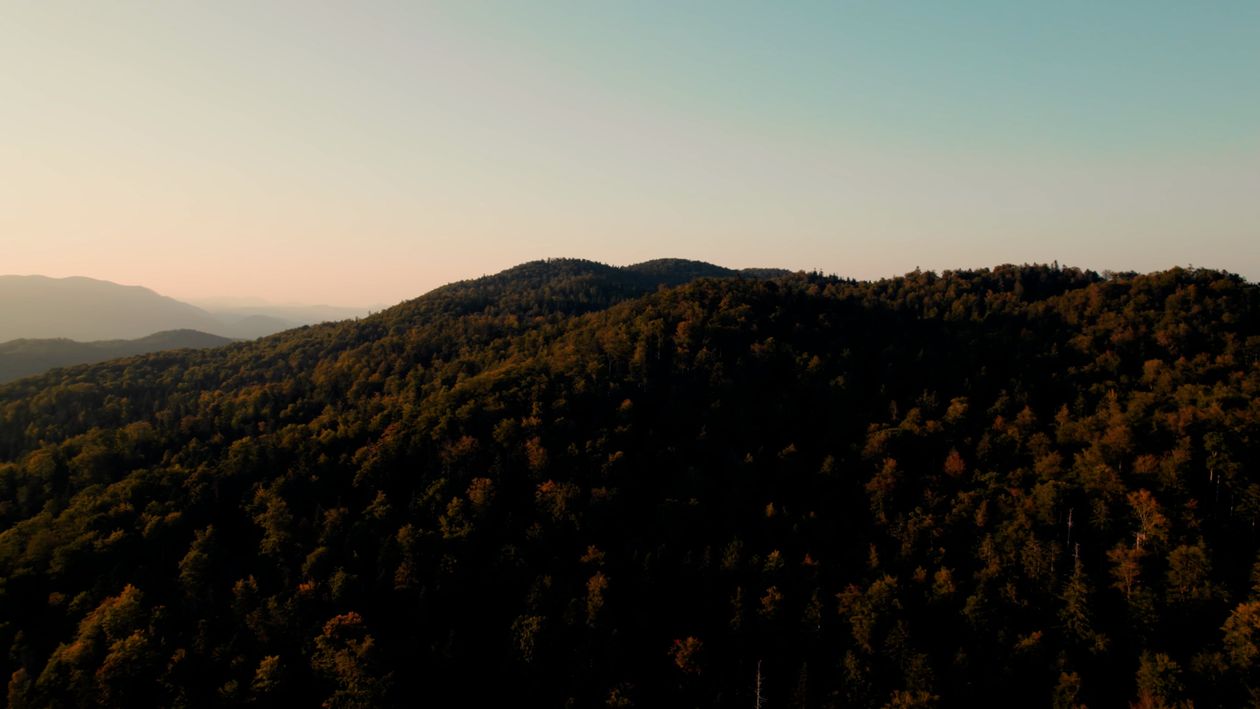 Drone Footage of a Mountain Forest Free Stock Video Footage, Royalty ...