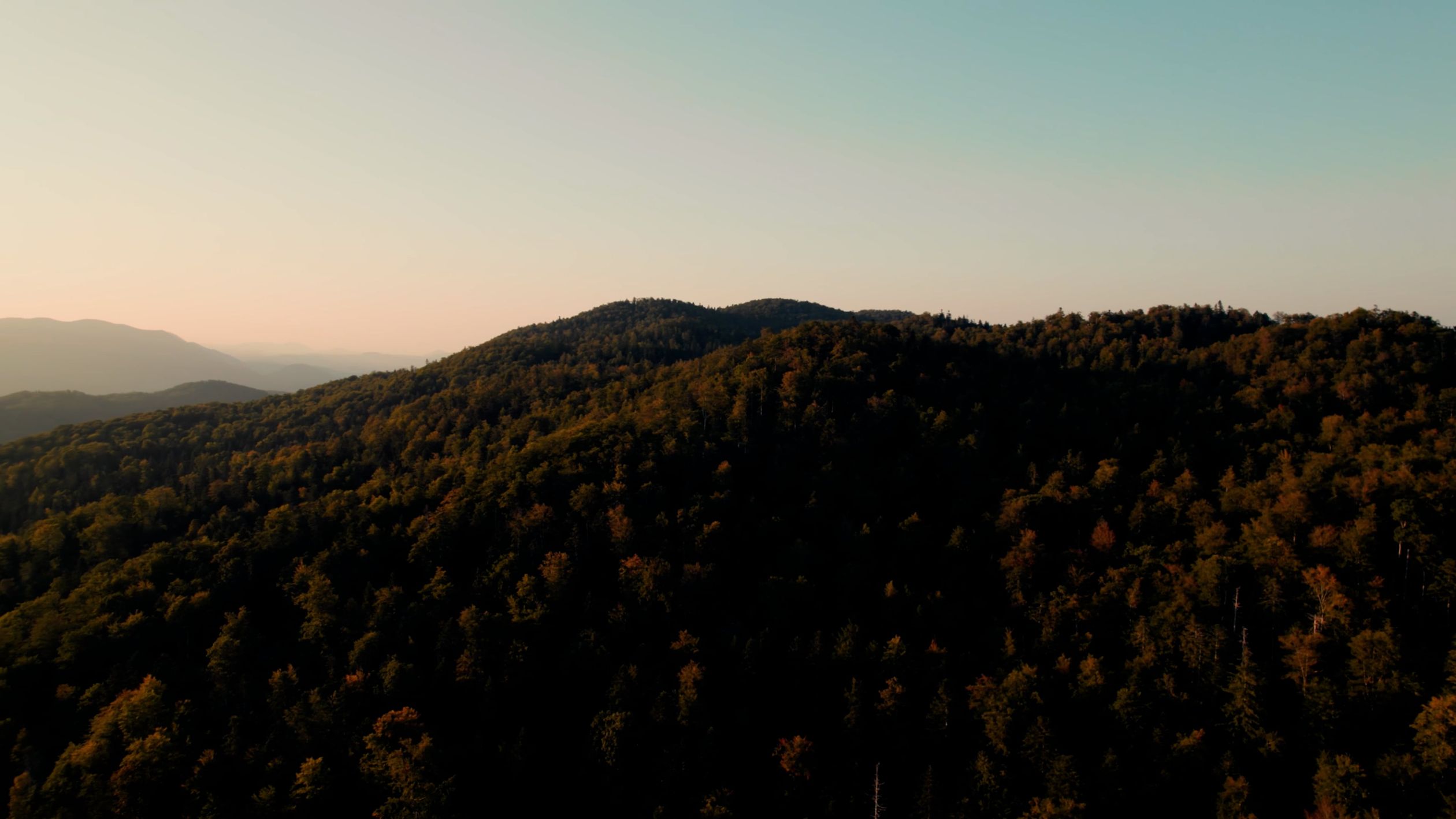 Drone Footage of a Mountain Forest Free Stock Video Footage, Royalty ...
