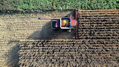 A Farmer using a Tractor while Harvesting Crops
