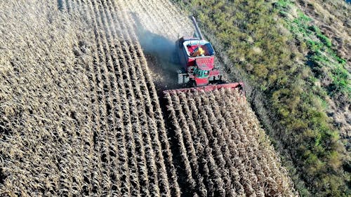 Drone Footage of a Farmer using a Tractor while Harvesting the Crops