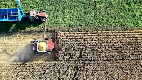 A Combine Harvester and Tractor Working on a Field