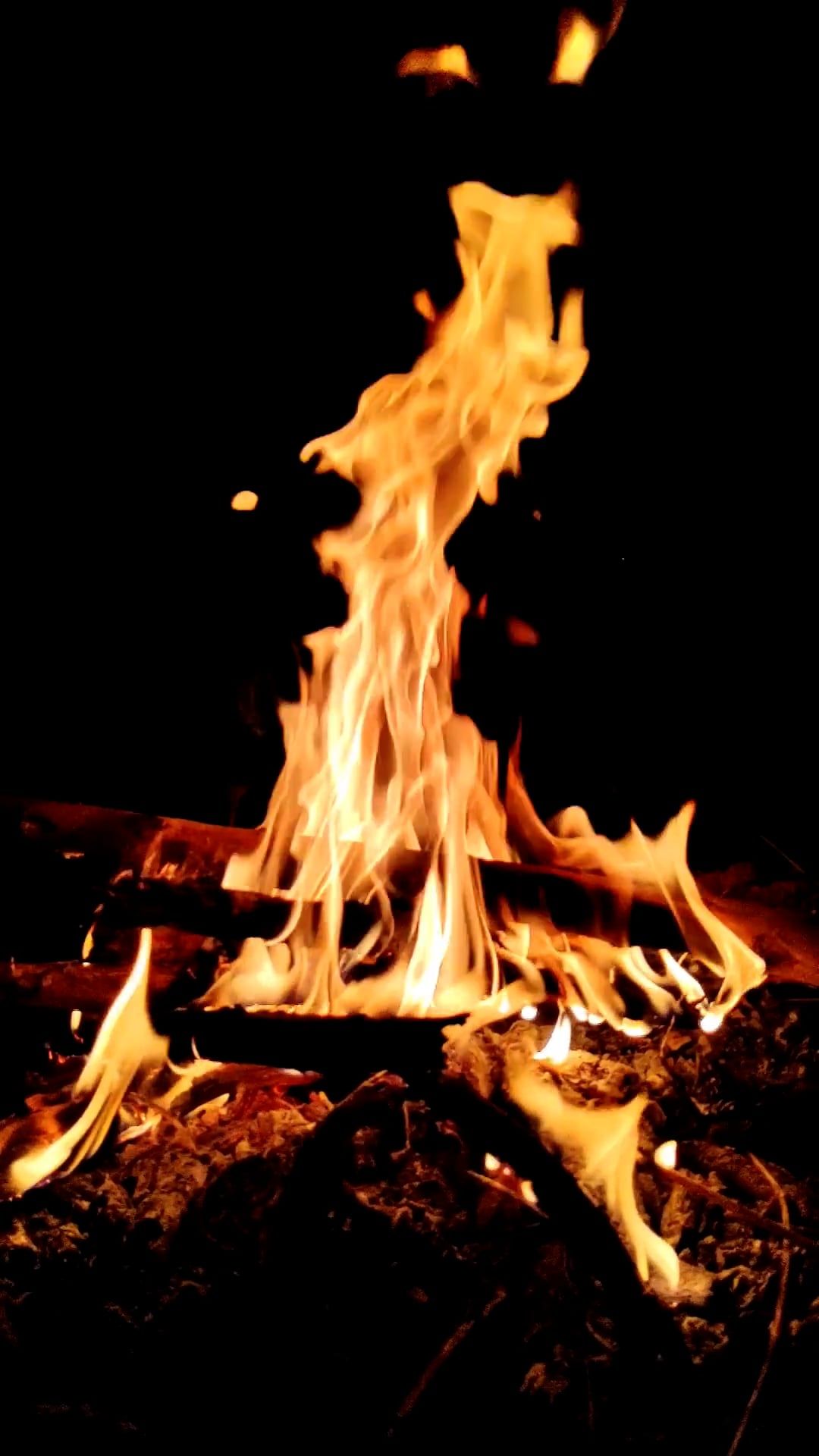 campfire at night 10848393