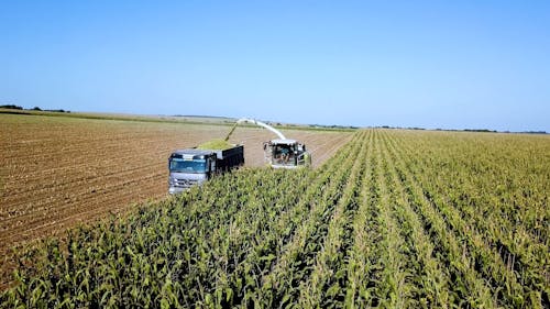 Harvesting Crops with use of Agricultural Machinery 