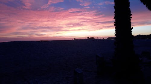 Palm Trees on Sandy Beach at Scenic Sunset