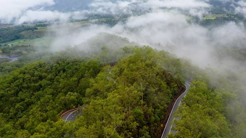 Drone Footage of a Mountain Road and a Green Forest