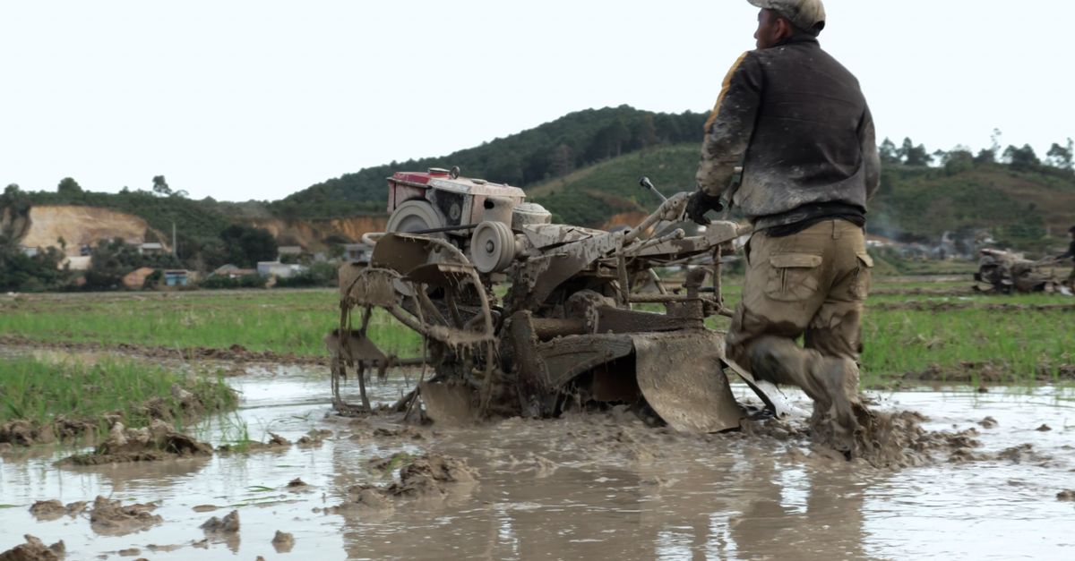 Farm Worker Using Machinery Man Working in Field with Manual Agricultural Machinery Free Stock ...