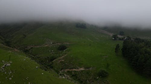 Drone Footage of Misty Green Mountains 