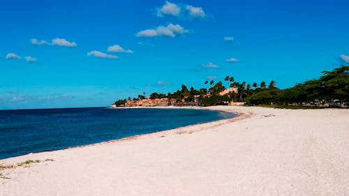 Beautiful Sandy Beach at the Edge of Blue Sea