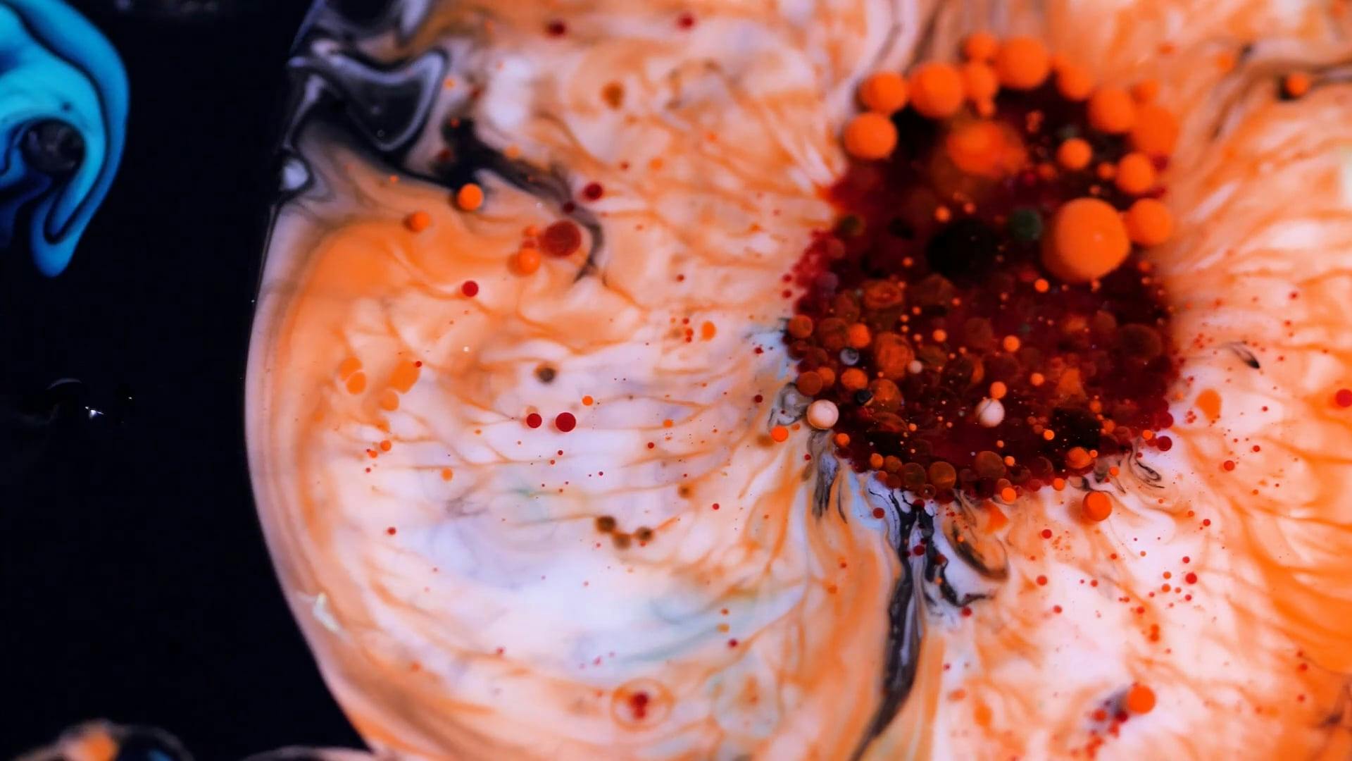 Video by StefWithAnF