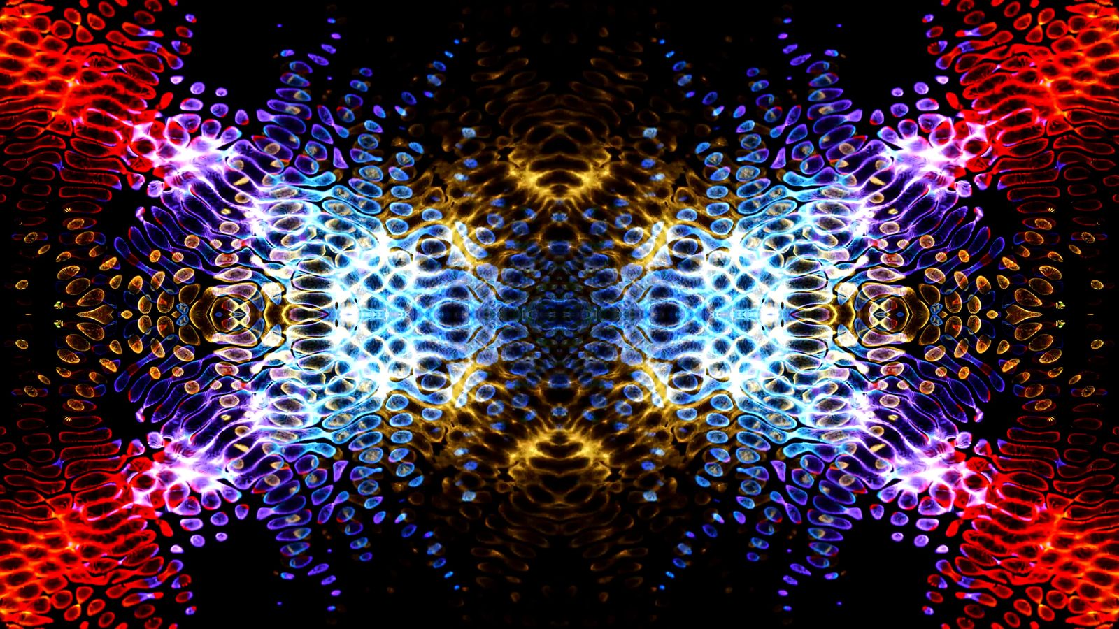 Multicolored Pattern Animation Free Stock Video Footage, Royalty-Free ...