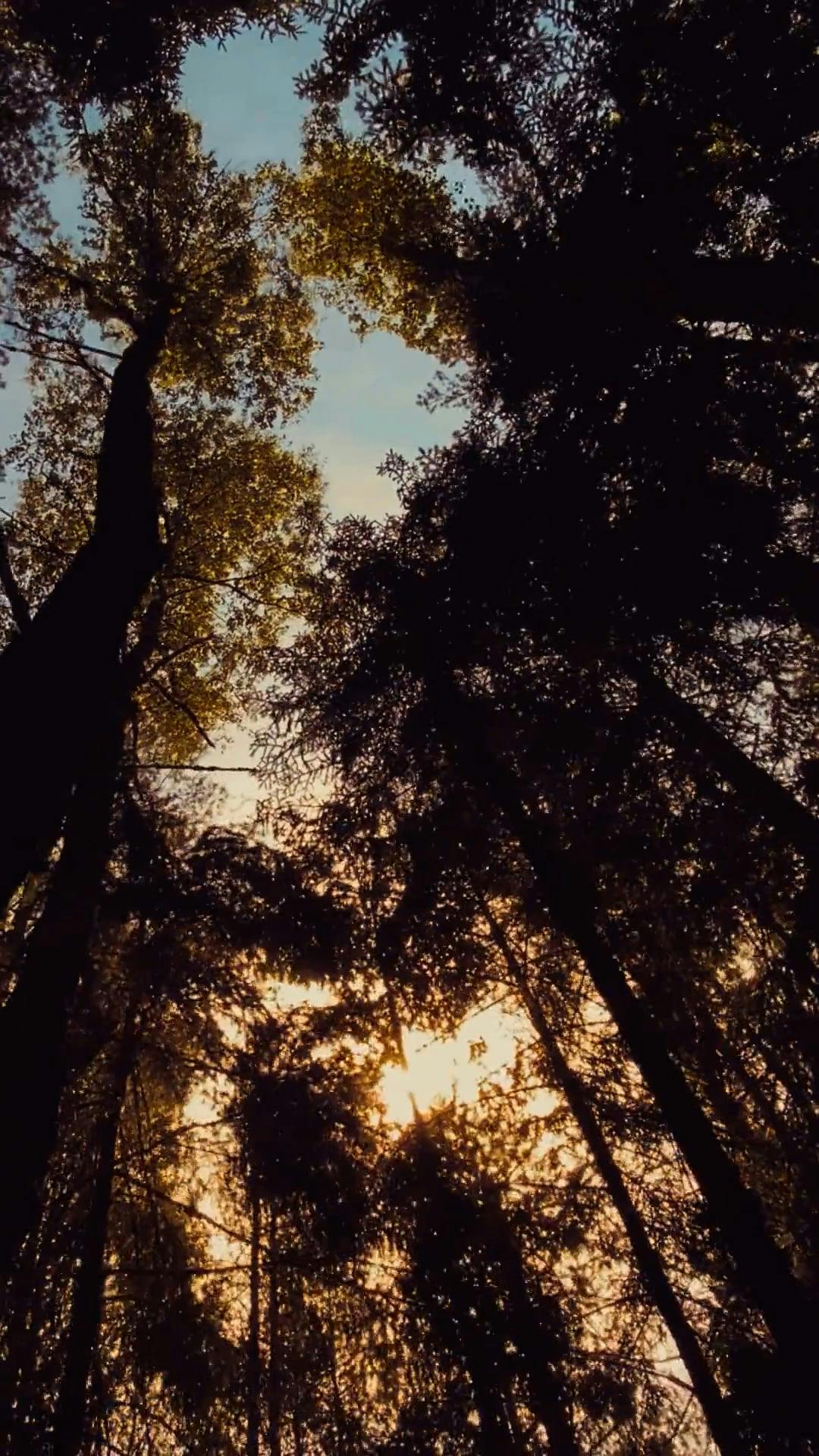 Video by Dmitry Marchenkov