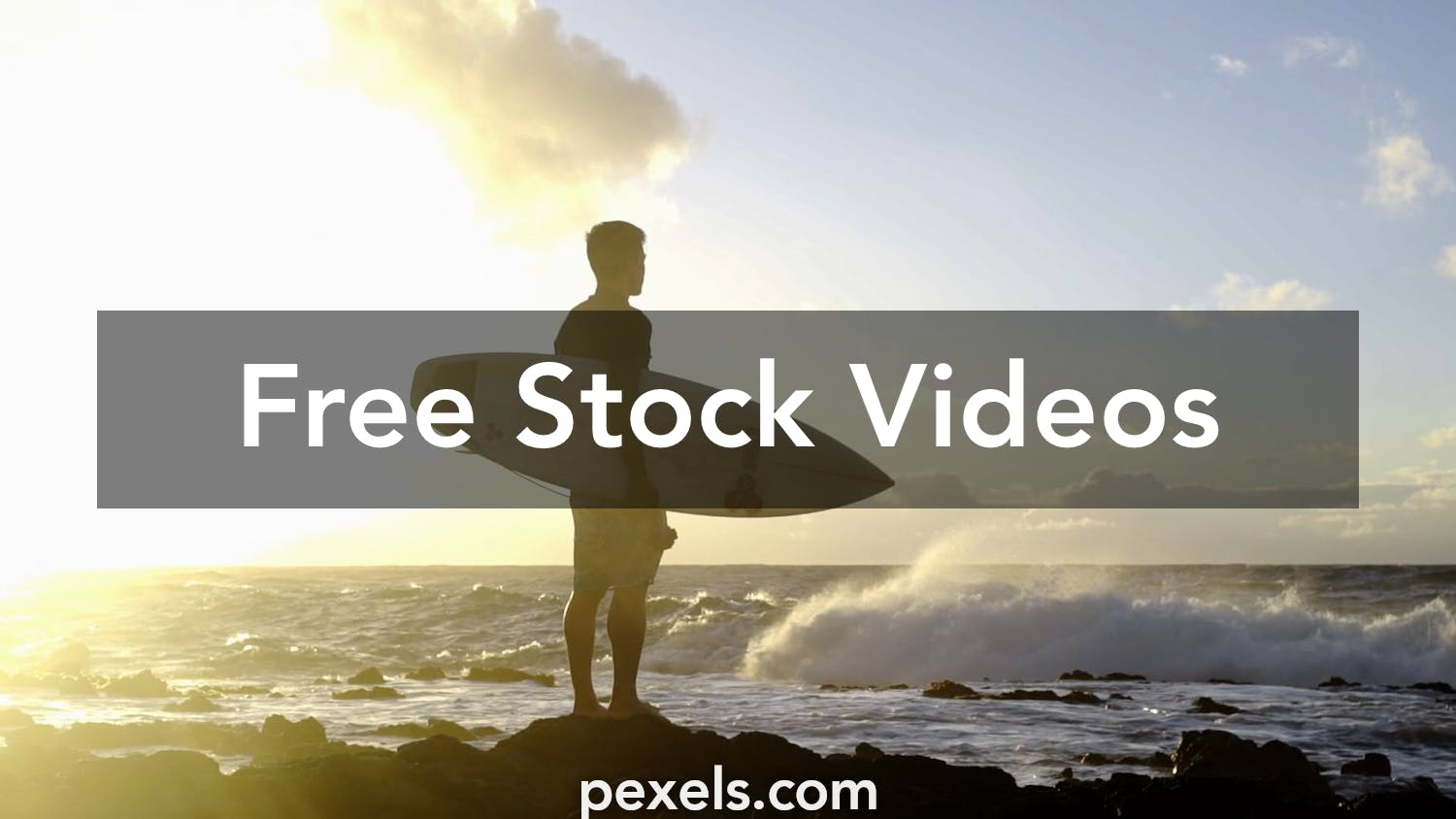 Surfing Stock Video Footage for Free Download