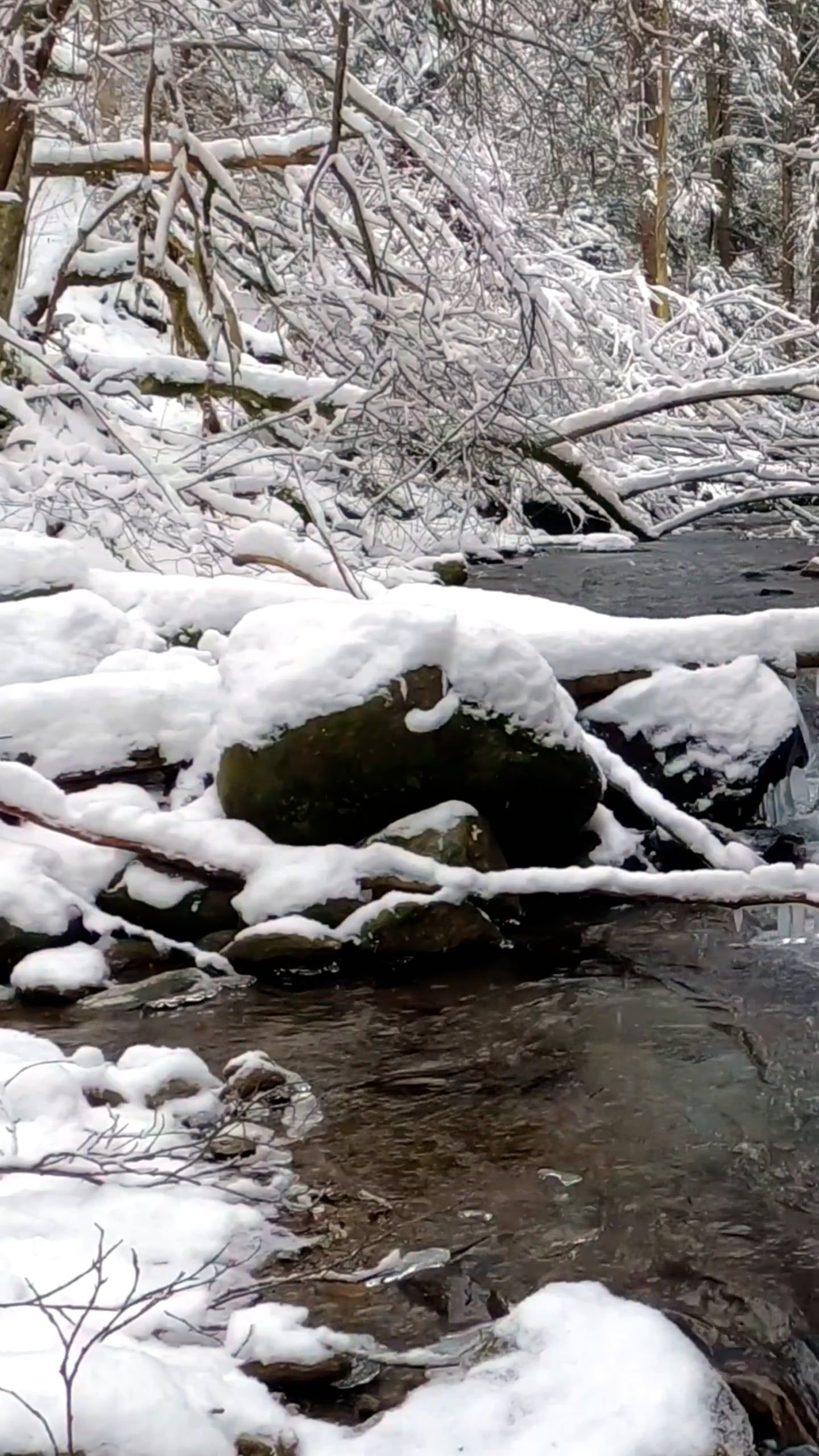 river flowing in winter forest 10967245