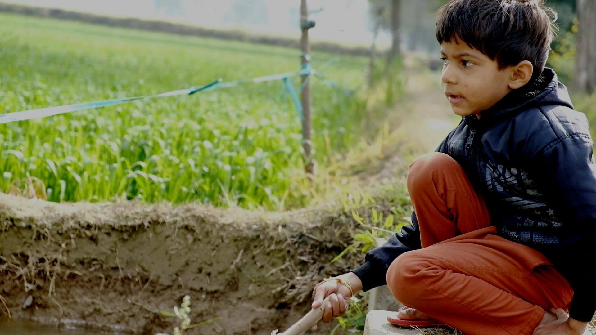 Boy Playing with Stick in Countryside · Free Stock Video