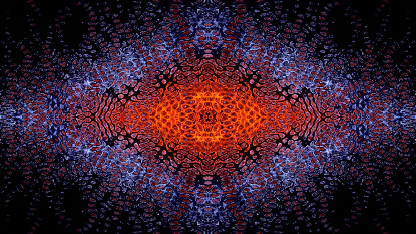 Abstract Video Free Stock Video Footage, Royalty-Free 4K & HD Video Clip