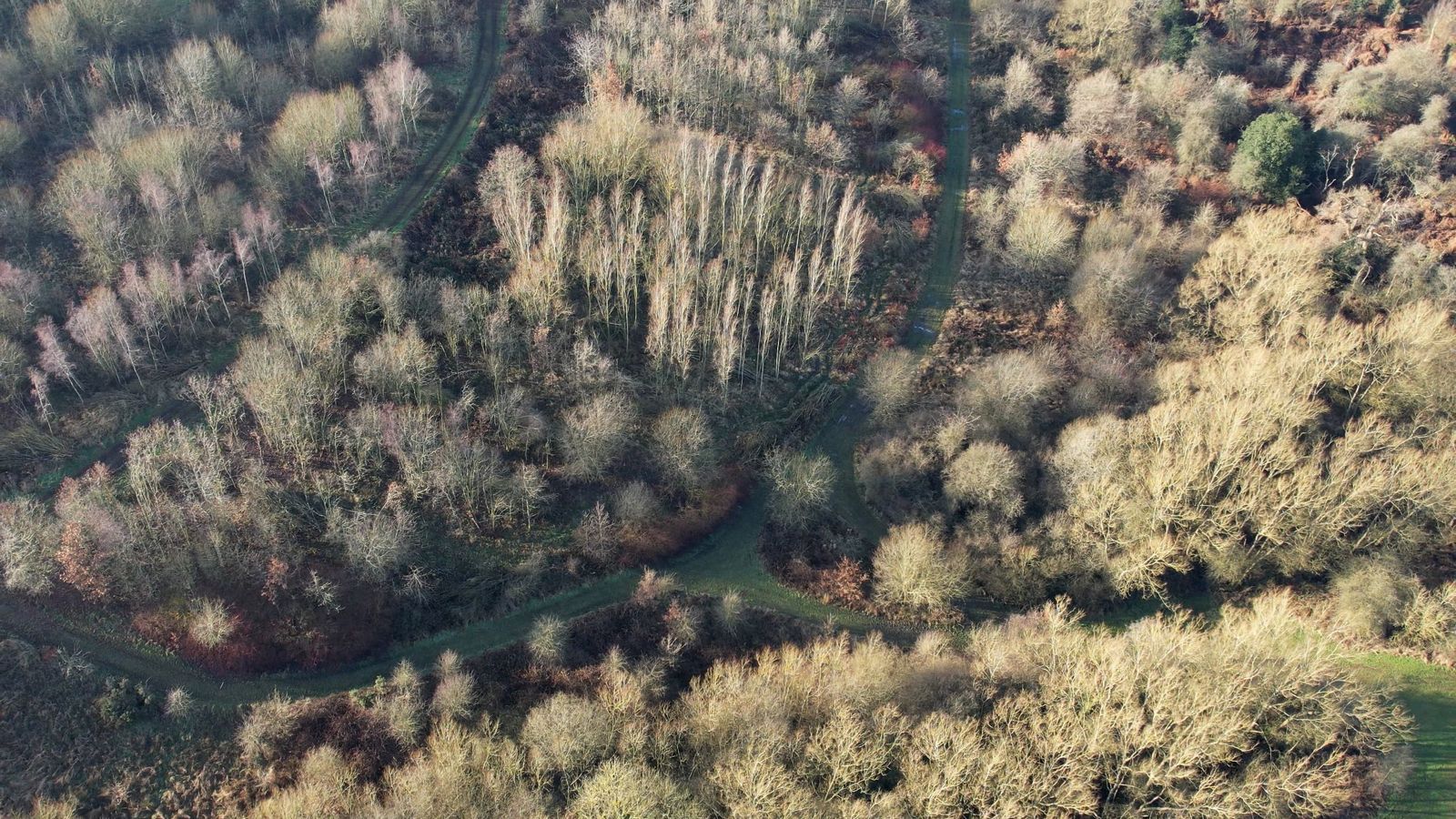 Drone Footage of Green Grass and Green Trees Free Stock Video Footage ...