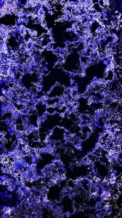 Nikita Ryumshin's fluid simulation art video