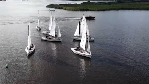 Group of Sailboats Sailing in Water