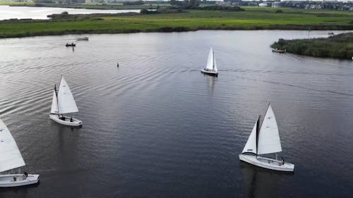 Group of Boats Sailing in Water