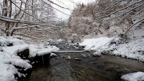 River Flowing in Winter