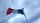 france flag
