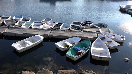 Rowboats Around Jetty in Lake