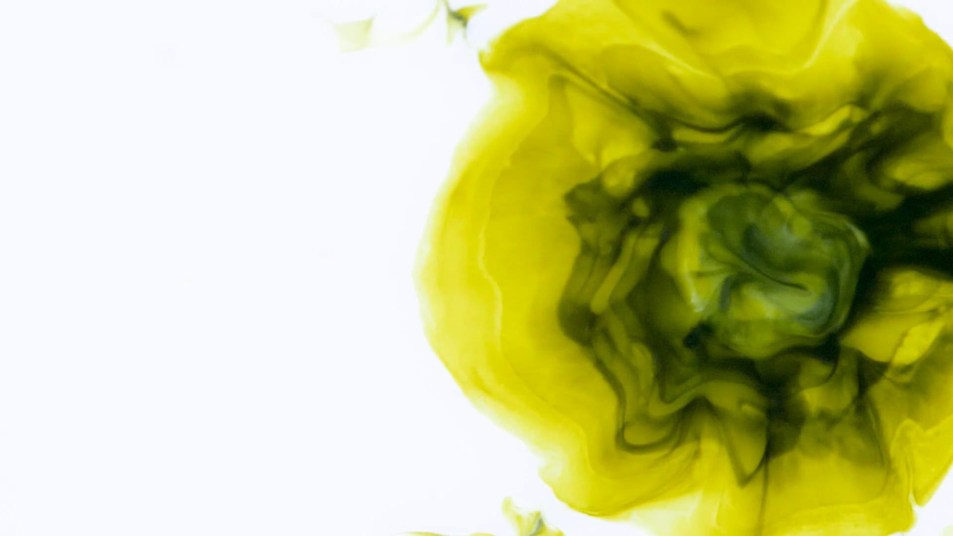 Drops of Colored Ink Falling into White Liquid Free Stock Video Footage ...