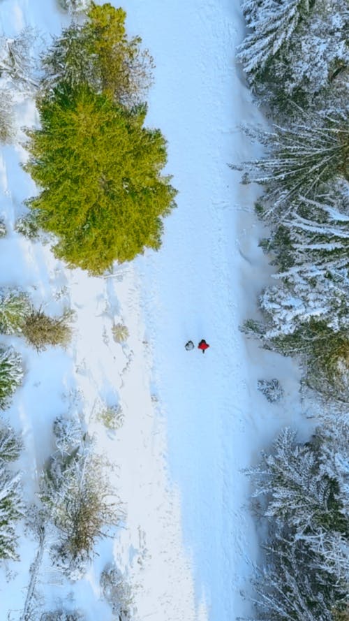 Two People Walking in Winter Seen From Above