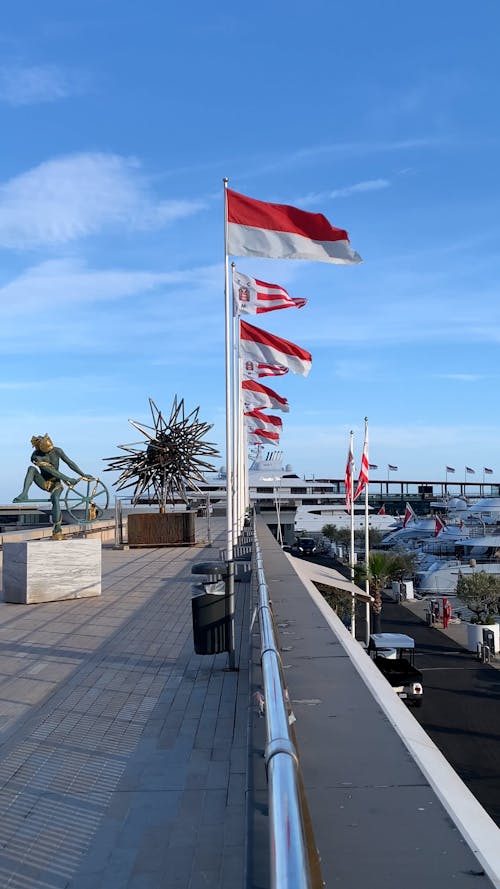 Flags of Monaco Waving in Wind