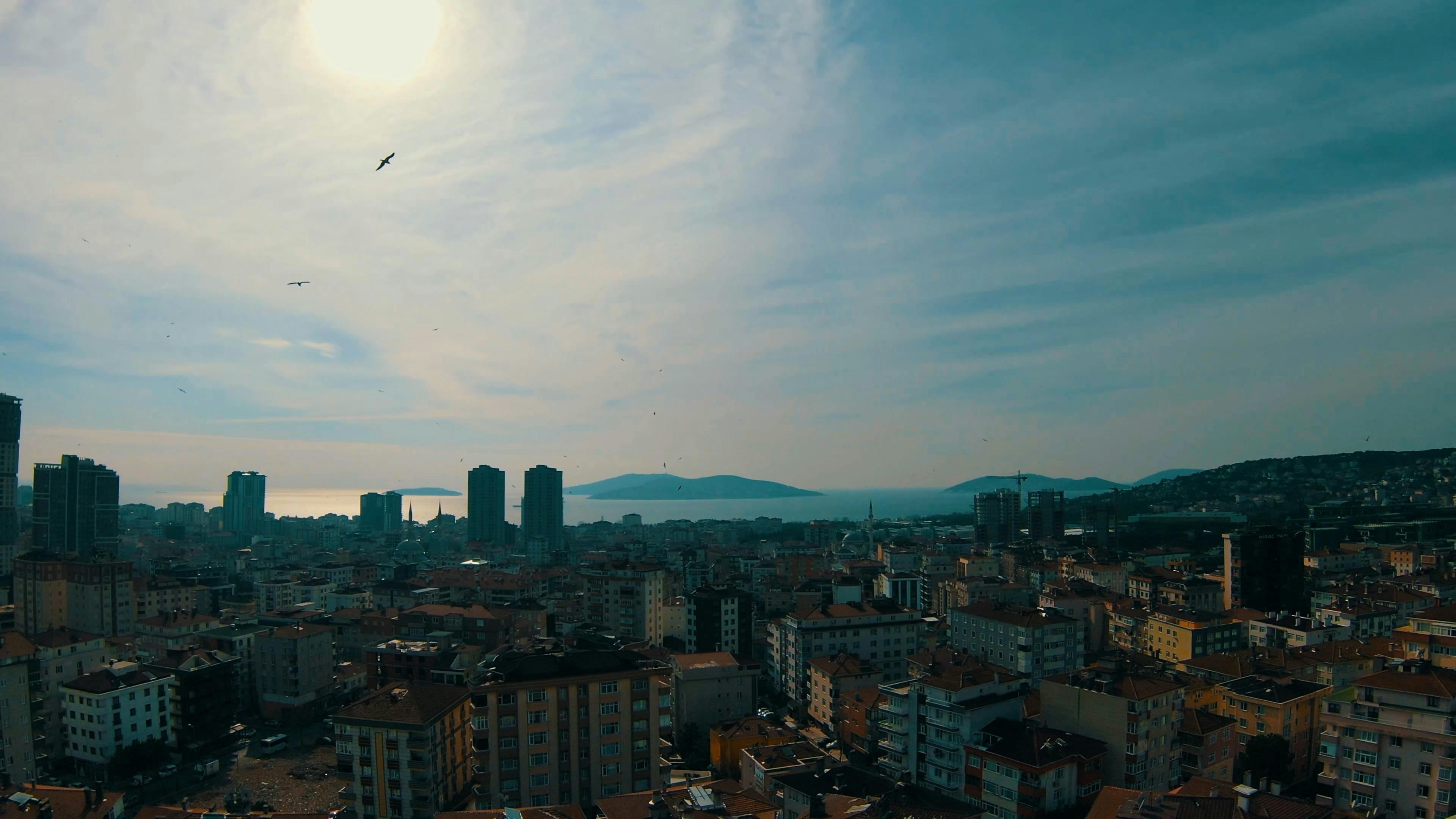 Birds Flying over Istanbul Free Stock Video Footage, RoyaltyFree 4K