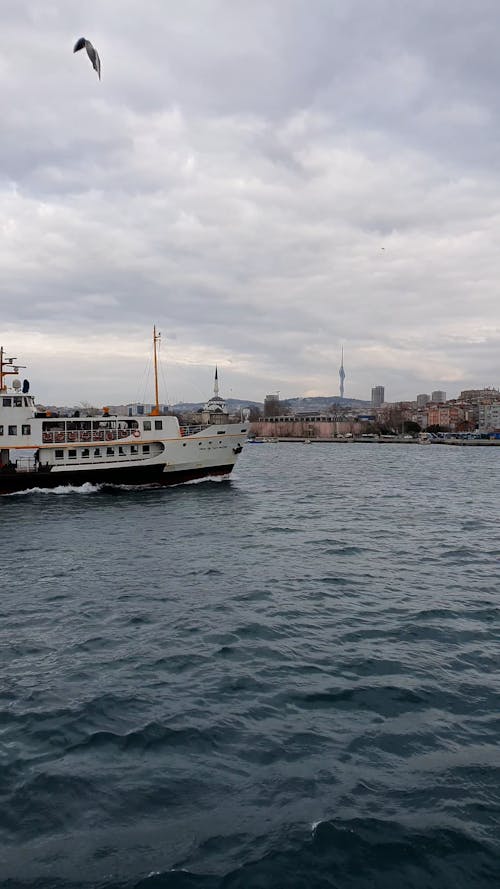 Birds and Clouds over Bosphorus in Istanbul