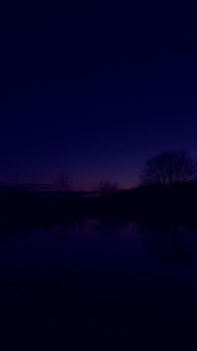 Dmitry Marchenkov's nature timelapse video