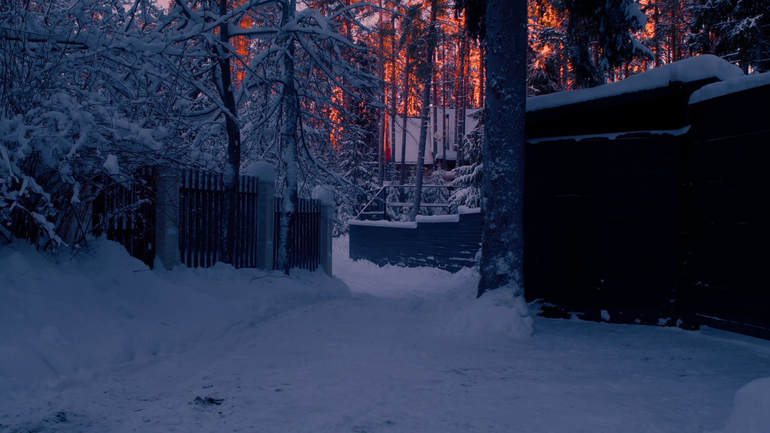Cold Videos, Download The BEST Free 4k Stock Video Footage & Cold HD ...