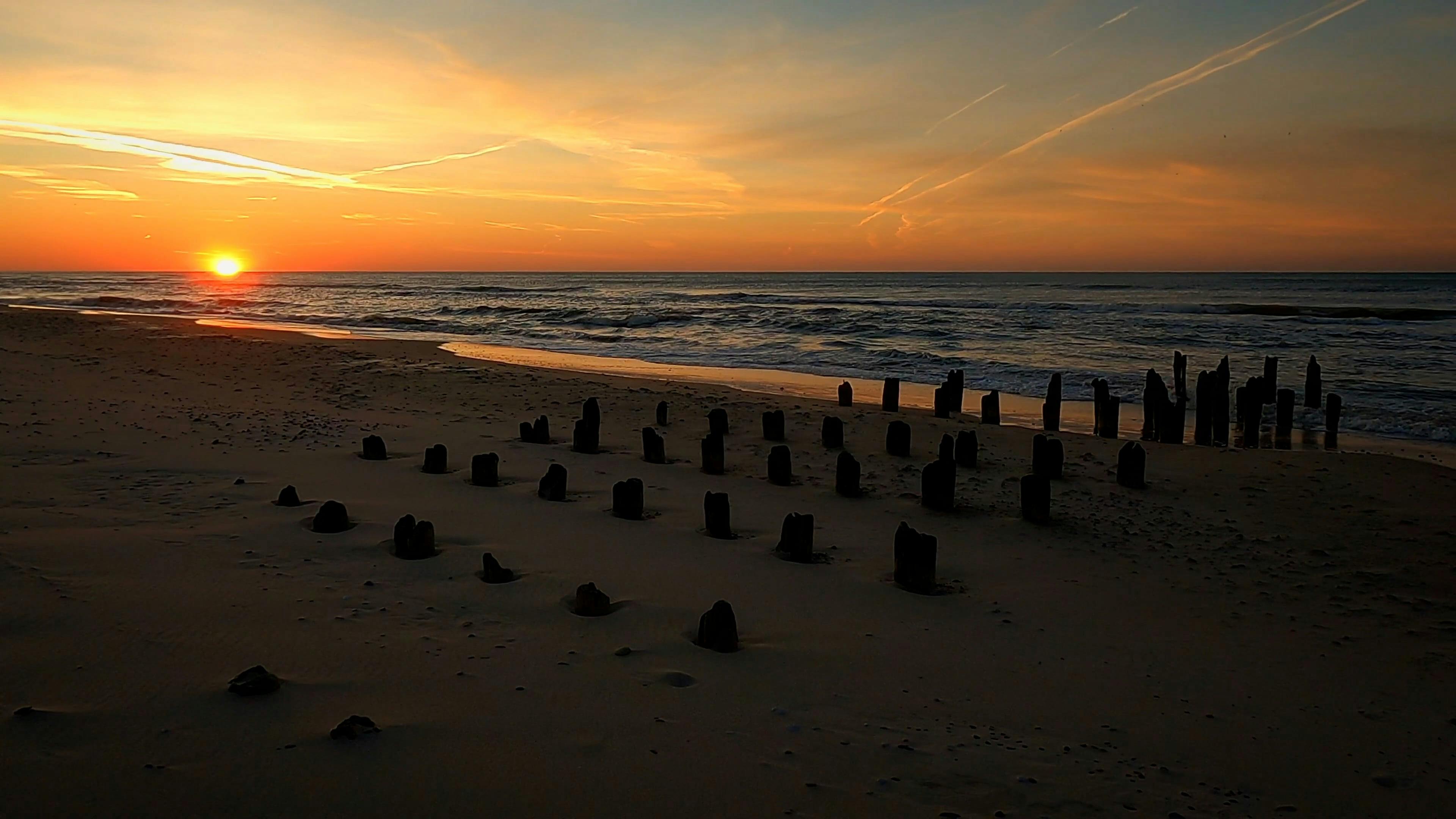 old wooden logs on the beach at sunset 11159657