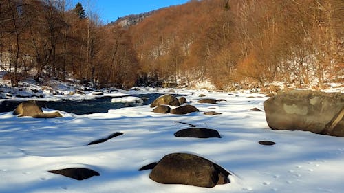 River in Forest During Winter