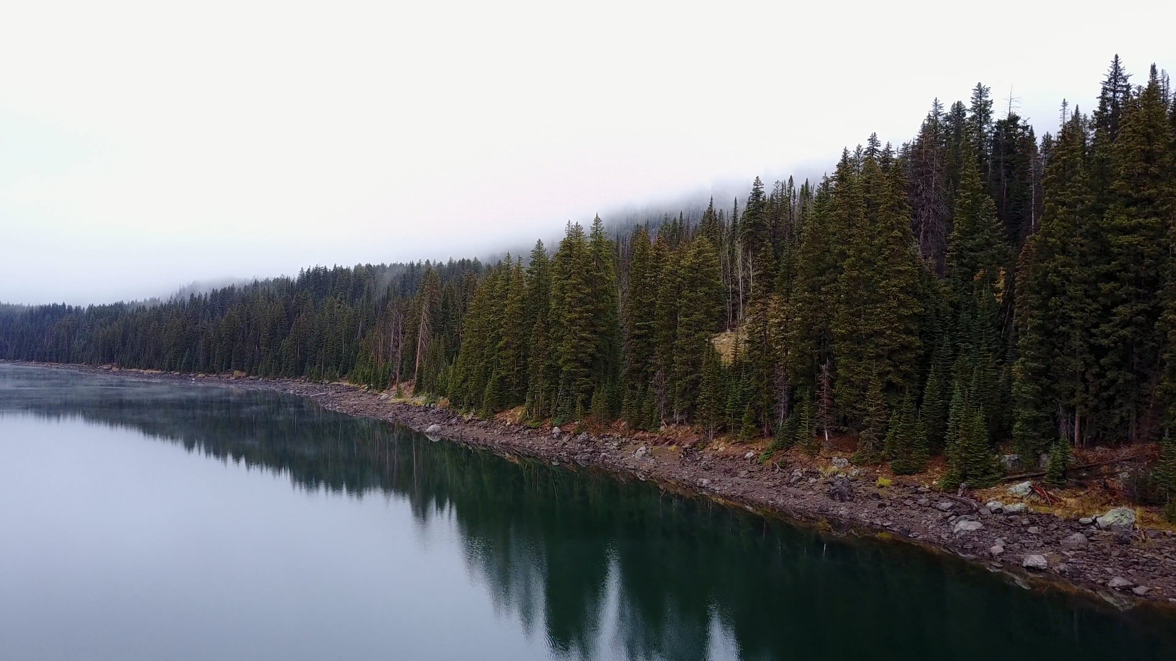 Drone Footage of a Forest by a Lake Free Stock Video Footage, Royalty ...