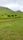 pasture
