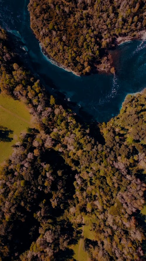 Lake in Forest