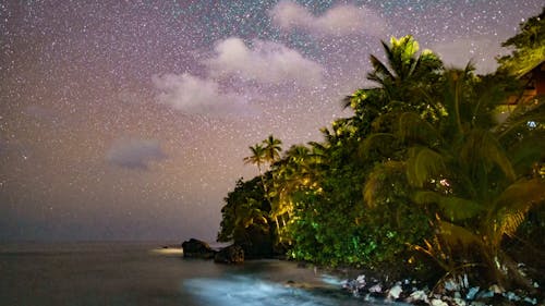 Time Lapse of Stars on Sky over Sea Shore