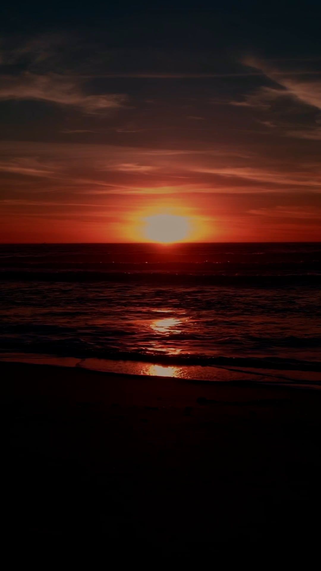 Silhouette of a Man Enjoying a Sunset on the Beach Free Stock Video ...