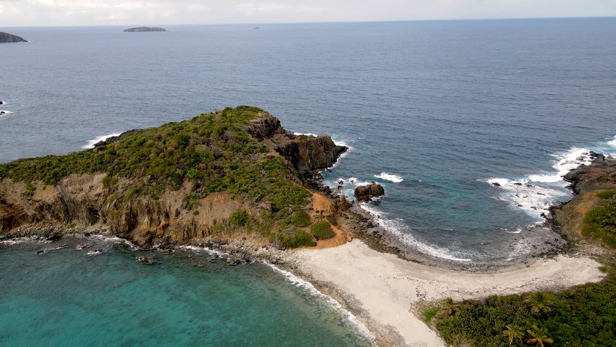 View on Island and Sea Shore with Forest Free Stock Video Footage ...