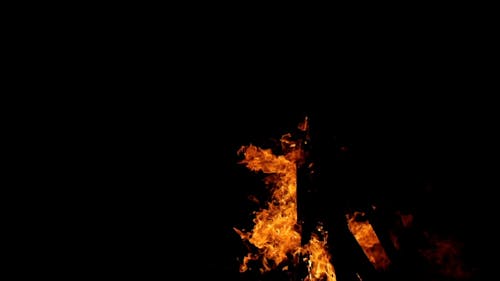 Close up on Burning Wood in Bonfire