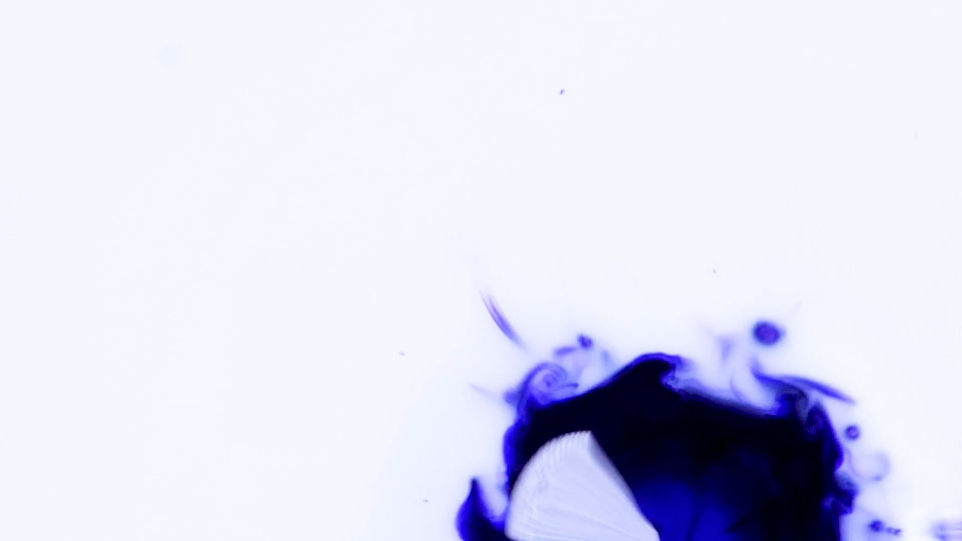Video by StefWithAnF