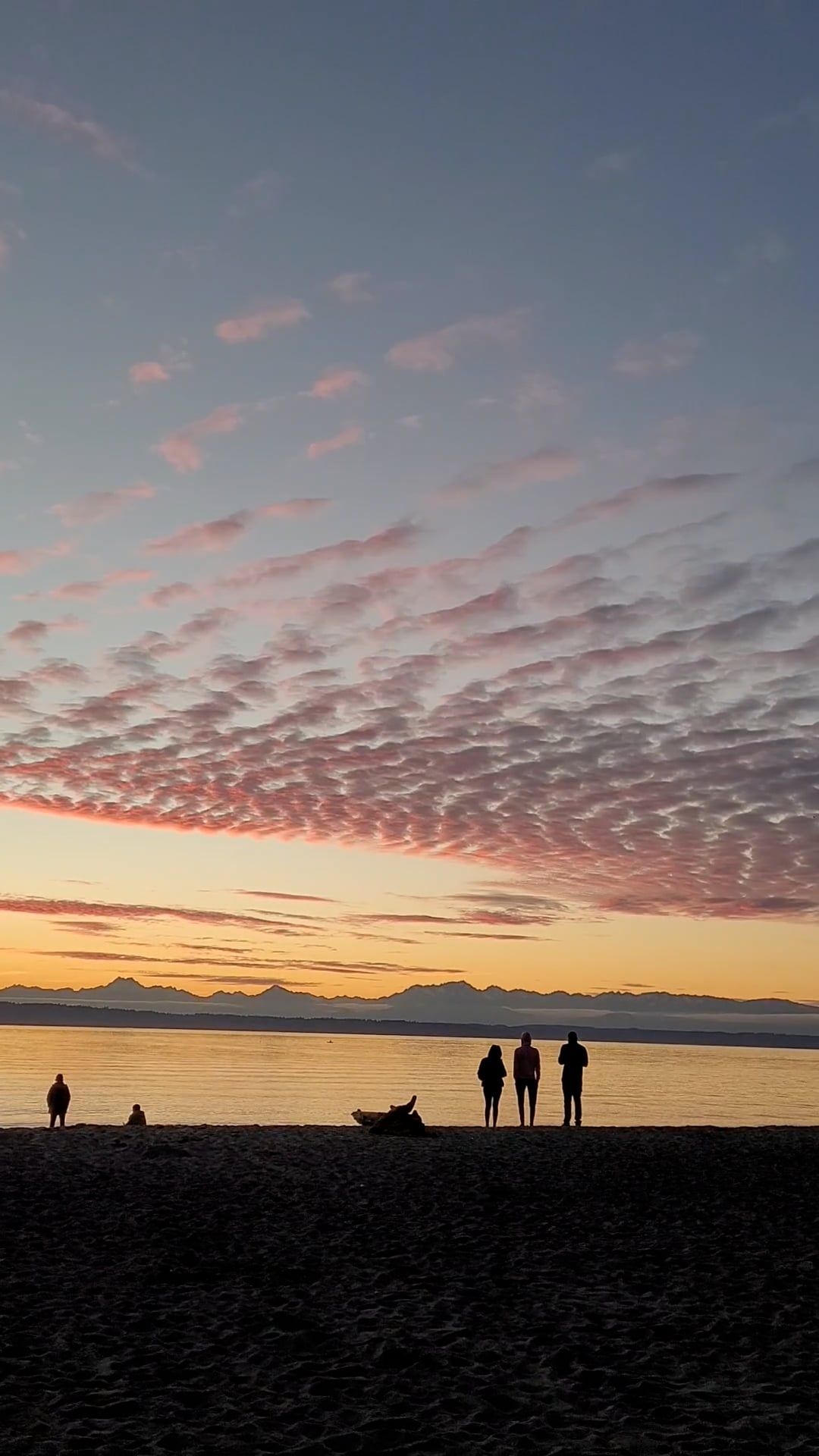 Two people standing on the beach at sunset Free Stock Video Footage ...