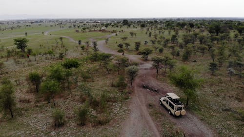 Jeep on Dirt Road during Safari Trip