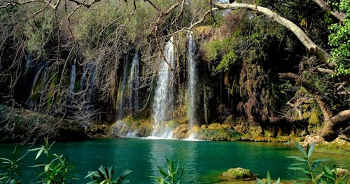 Beautiful Waterfalls in a Lake in the Jungle