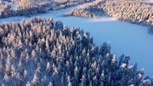 Drone Footage of a Snow Covered Forest