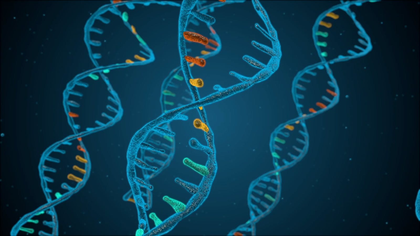 Днк 4. DNA Analysis. Lung Tree DNA. Lung DNA. Beauty DNA.