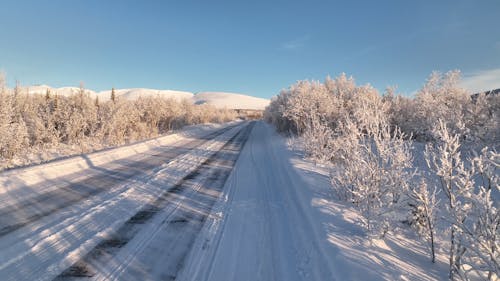 Road through Forest Covered with Snow