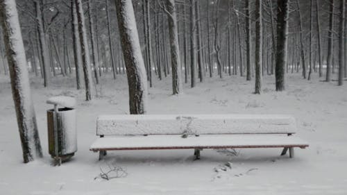 A Wooden Bench with Snow